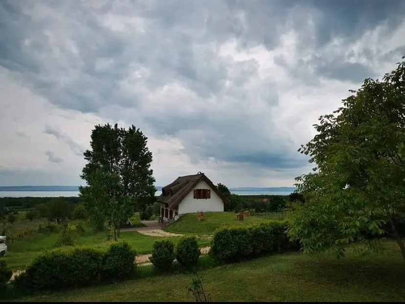 Vadvirág guesthouse Vászoly, 1047/7 hrsz - Image 1