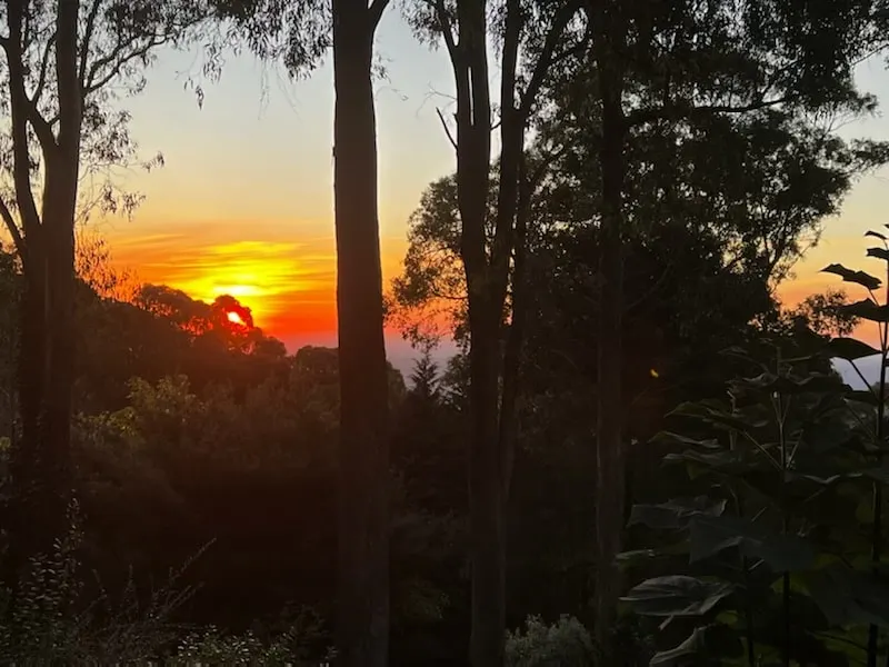 Sunset View Cottage in the Dandenong Ranges - Image 1