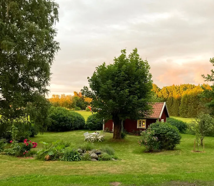The back house at the edge of the forest - Image 1