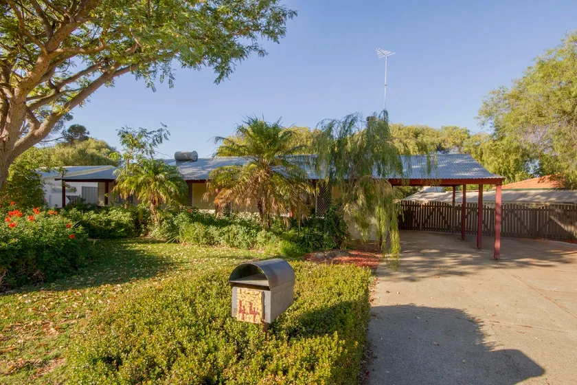 Shady Camp - Image 1