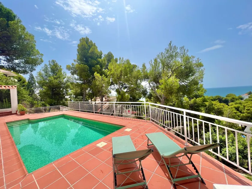 Beautiful Villa surrounded by pine trees with ocean views - Image 1