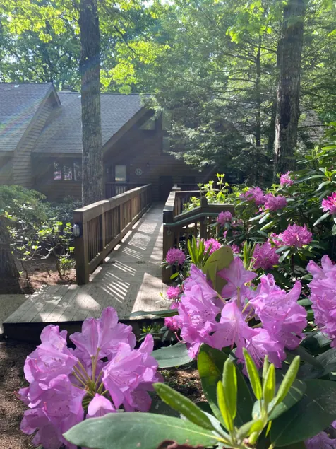 Bear's Mountain Escape - Image 1