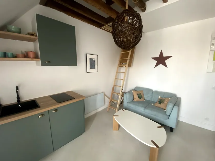 Charming loft apartment in Paris - Image 1