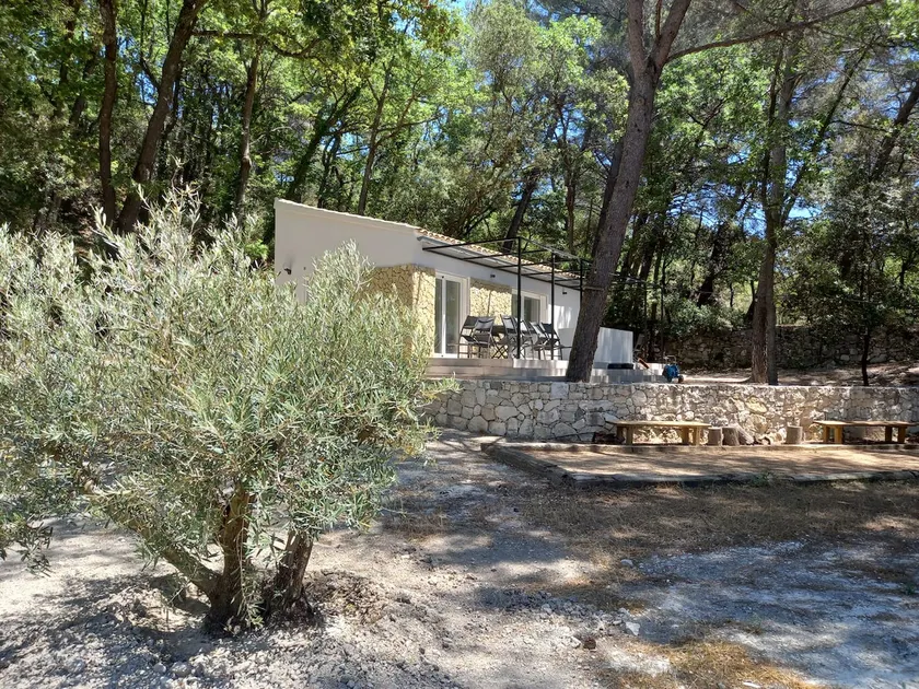 Small house under the pine forest! - Image 1