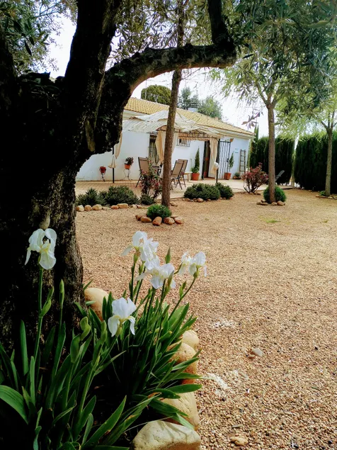 Casa del Abuelo José Marmolejo - Image 1