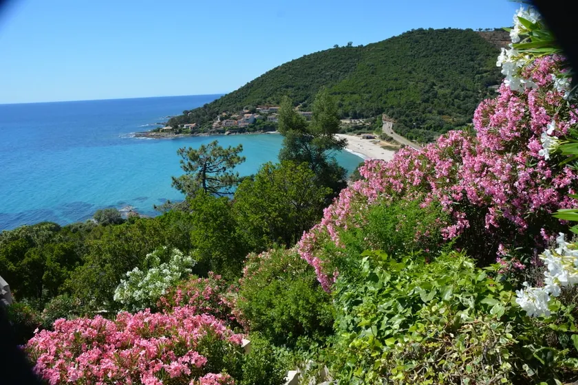 Villa con griglia e terrazza | Vista panoramica - Image 1