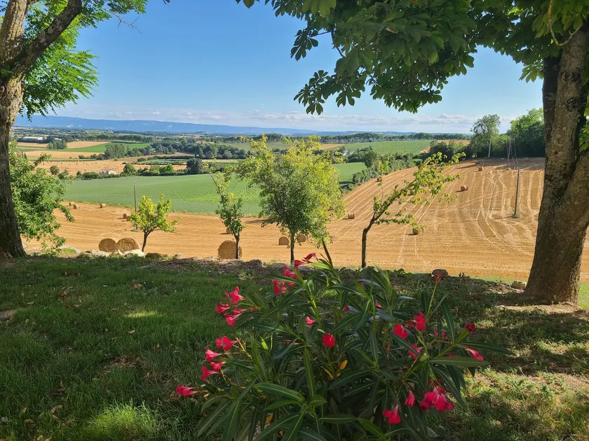 Country home with panoramic south-facing view - Image 1