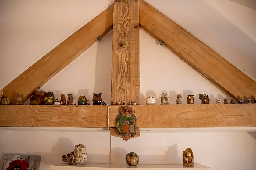 The Owls' Perch - Image 1