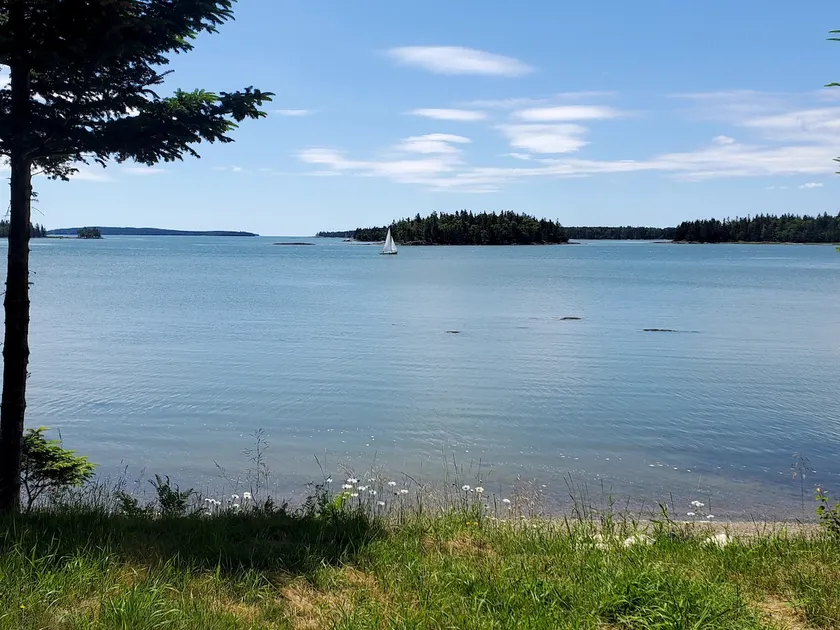 At The Waters Edge - Image 1