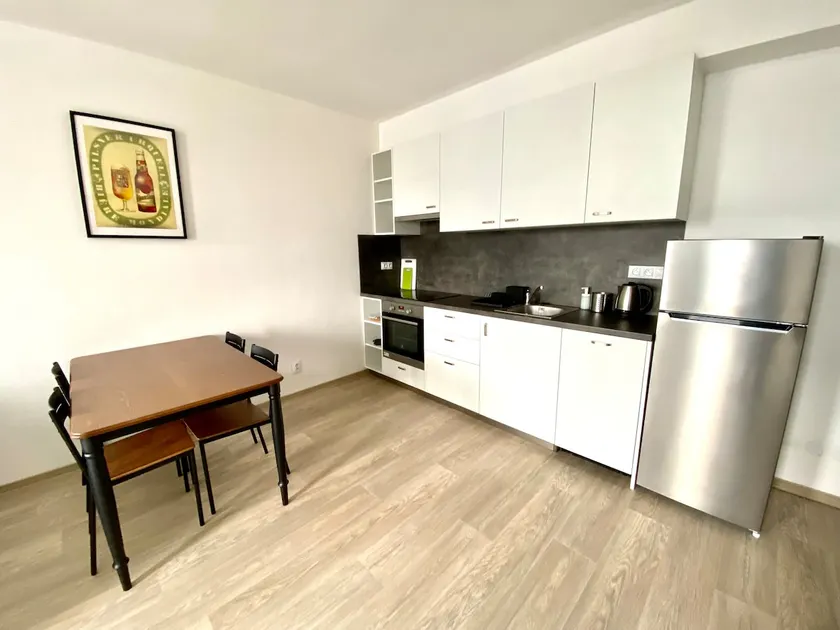 Two-room apartment with garage in the center - Image 1