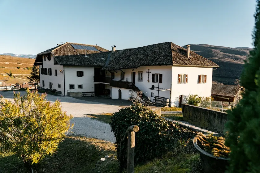 Arzenhof, Baron Di Pauli - Image 1