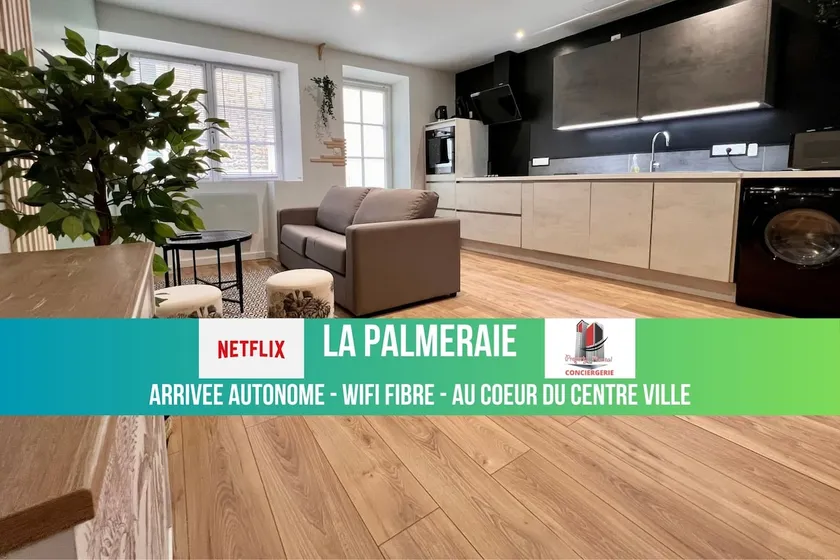La Palmeraie - fiber wifi - city center - Image 1