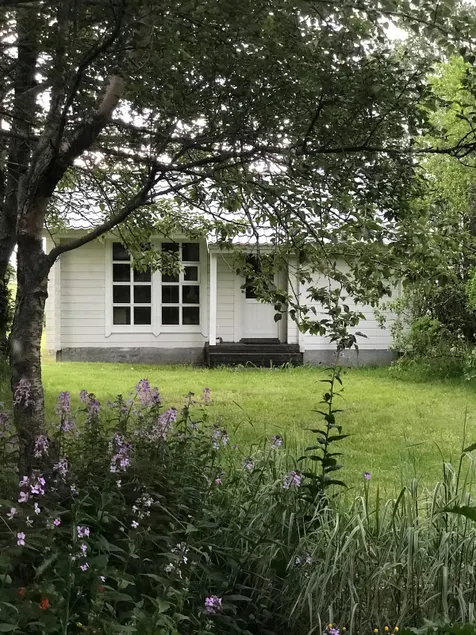 Fífa - Image 1