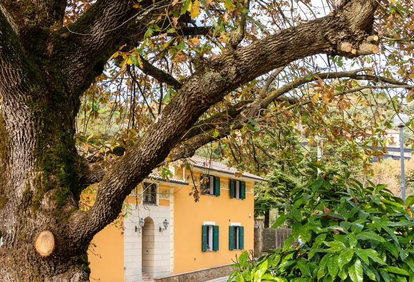 ROSA Holiday Home - Image 1