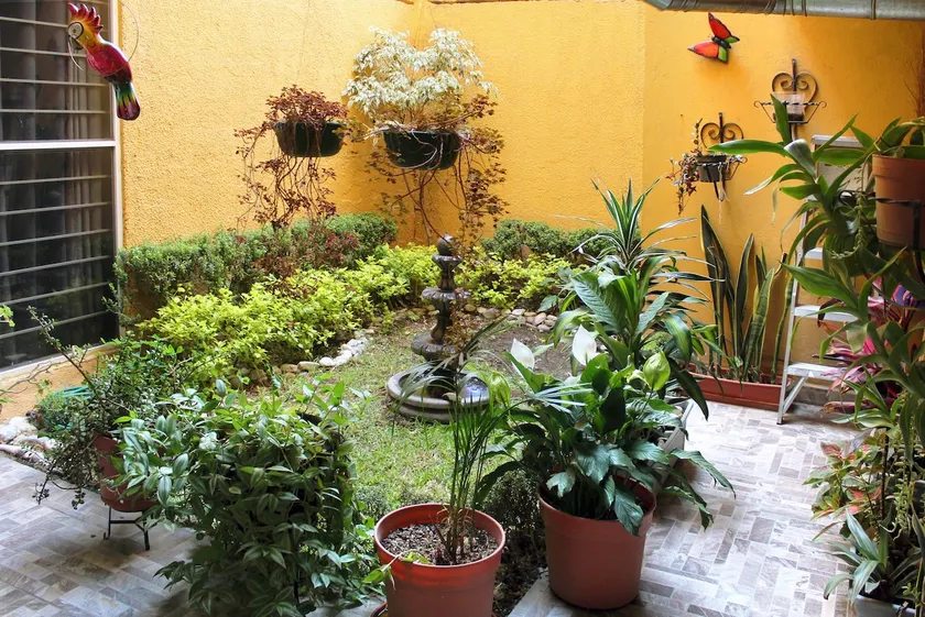 Colorful, comfortable Casa Azul in the center with Wi-Fi and kitchen - Image 1