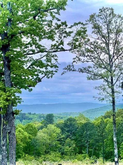 Private Ozark Views| 20 Wooded Acres| Near Buffalo - Image 1