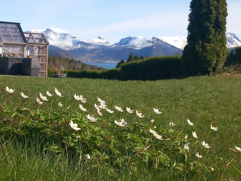 Spacious apartment in scenic surroundings. - Image 1