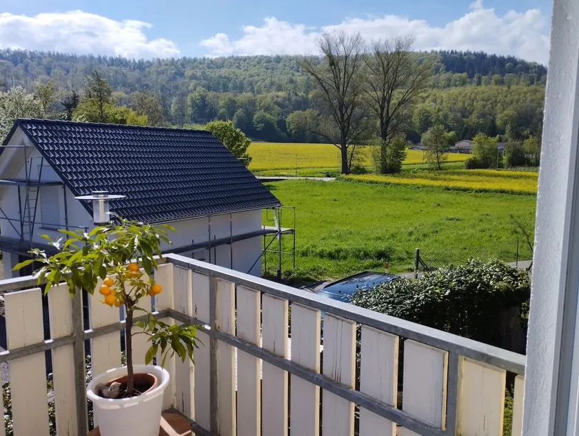 3 rooms with balcony and forest view - Image 1