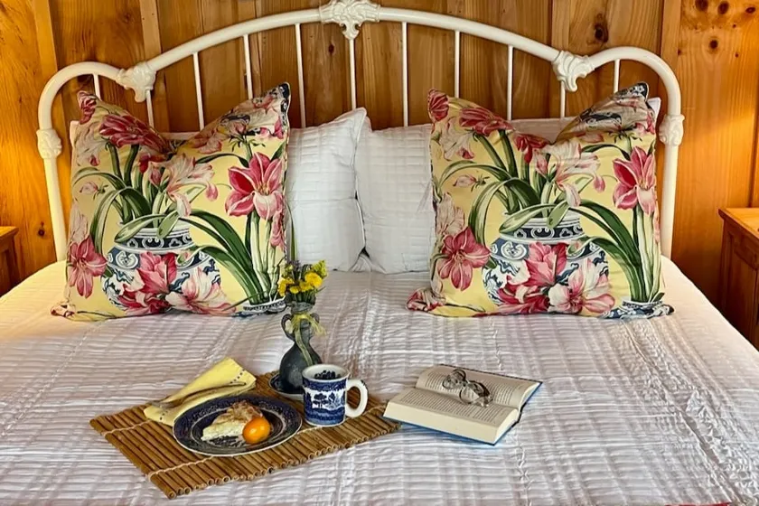 Blue Willow Cabin - Image 1