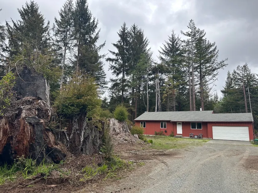 Sasquatch Sanctuary - Image 1