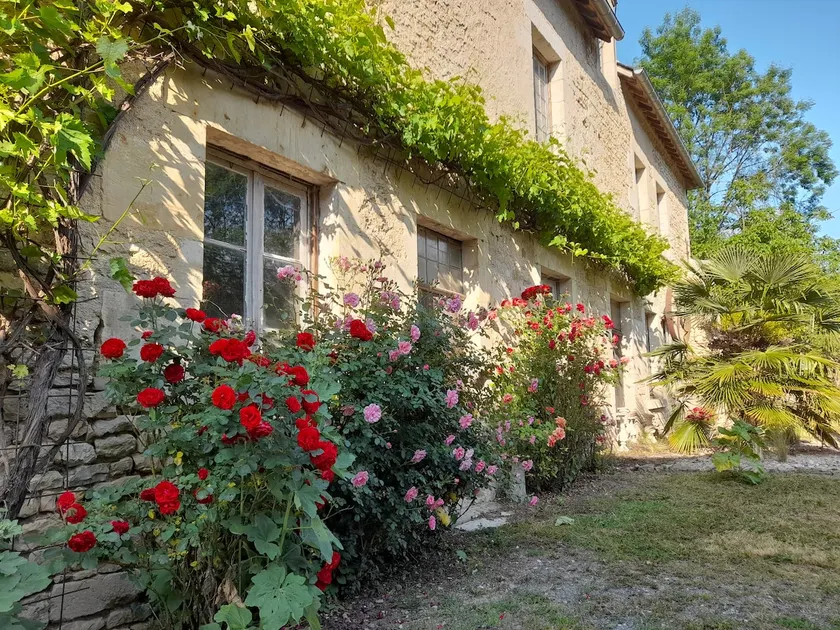Large quiet house - Image 1
