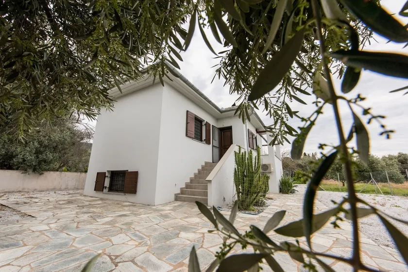 The Olive Home - Image 1