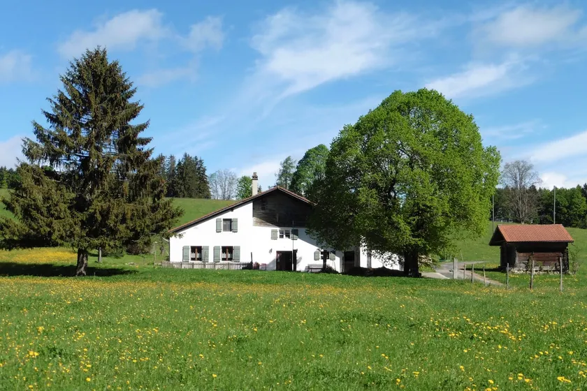 Charming little home. - Image 1