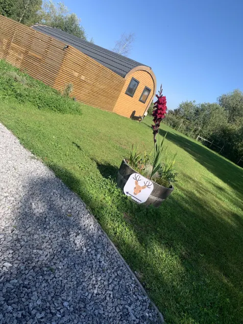Luxury Glamping Pods - The Stag - Pet Friendly - Image 1