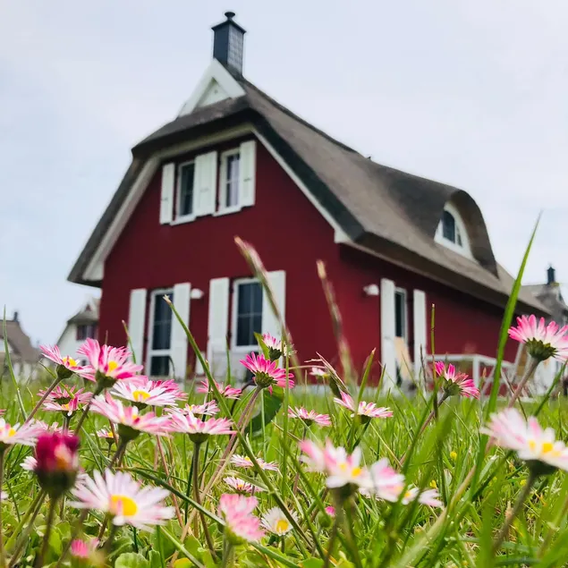 Vacation home ”Küstenliebe” Stralsund (Baltic Sea) - Image 1