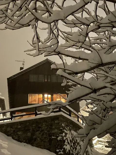 Wellness & SPA Chalet 15 minutes from Monte Zoncolan - Image 1