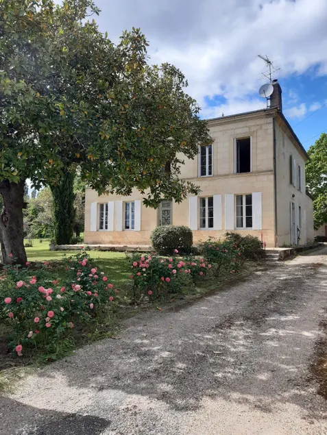 ”Cépage” studio, comfortable and quiet - Image 1