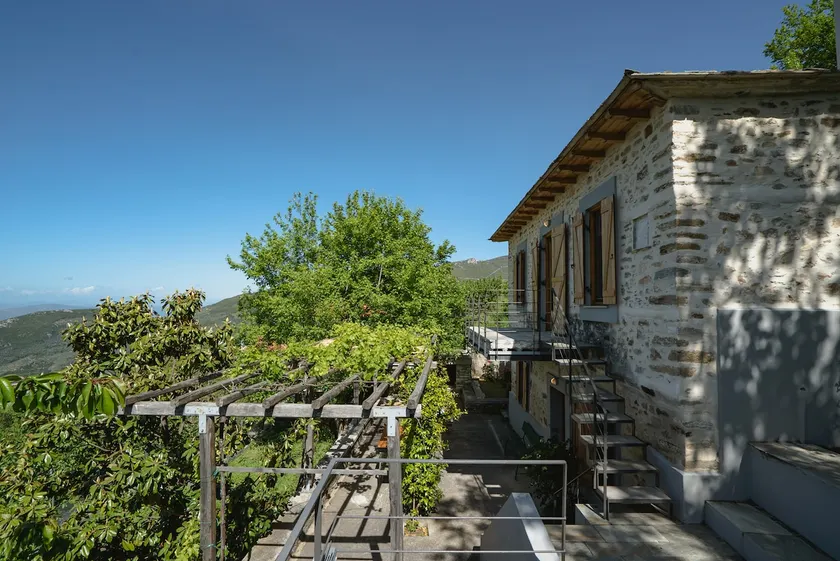 House Gecko - Mount Pelion - Image 1