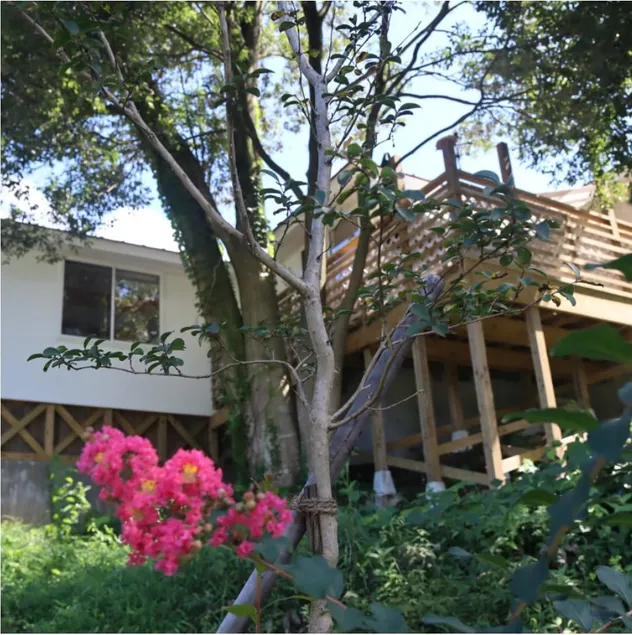 City Country Rental Cottage/Harvest/6 ppl - Image 1