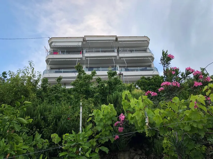 Palasa stunning view apartment - Image 1