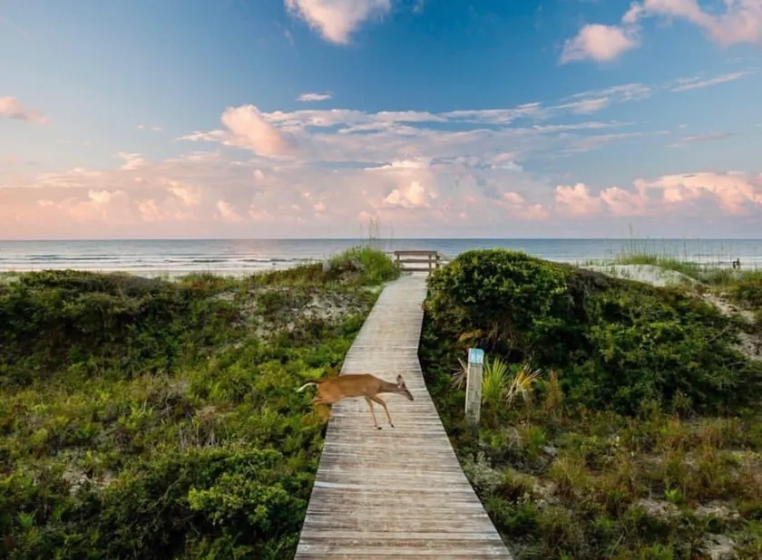 Location near Beach! Sanctuary & Night Heron Park - Image 1