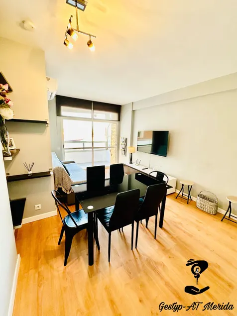 Pizarro Centro tourist apartment - Image 1