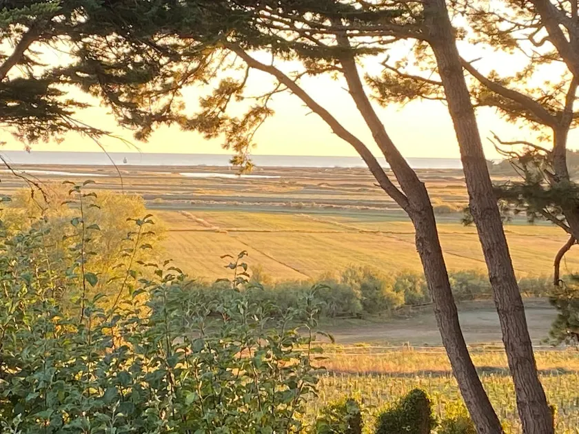 Vieilles Vignes VILLA SEA VIEW - Image 1