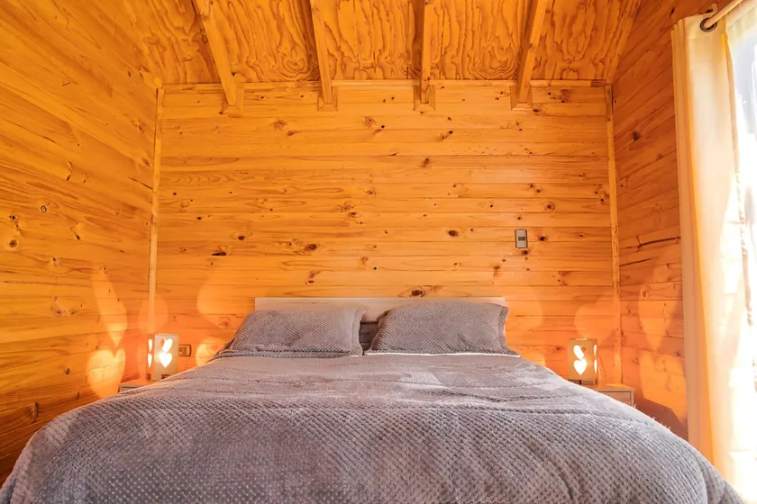 Cabin in Puelo near Termas del Sol - Image 1