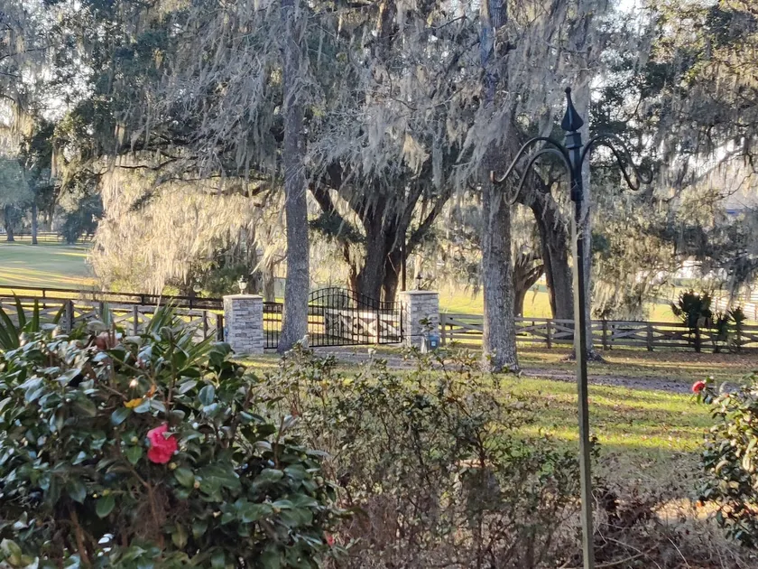 Dreamy Studio in The Heart of Horse Country - Image 1