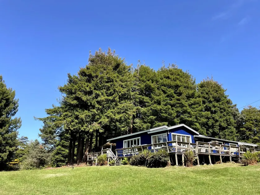 Casa Coyote: Redwoods, Hot Tub, Beach - Image 1