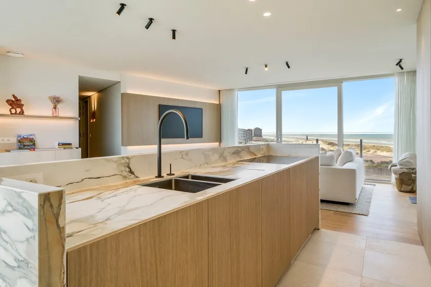 Luxurious design penthouse ~ sea and dunes view - Image 1