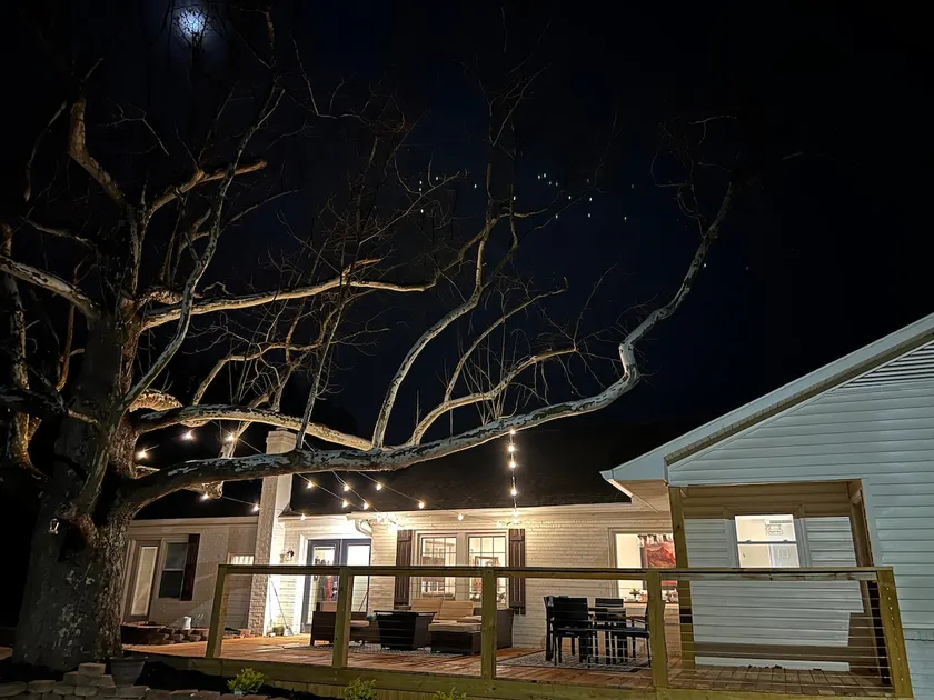 The Big Sycamore - Image 1