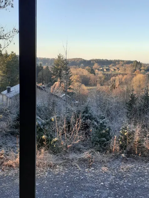 At the edge of the woods - Image 1