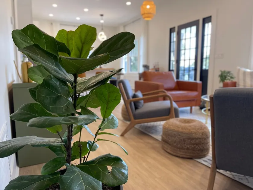 Modern Colonial+3 baths and Hot tub+ Pet Friendly - Image 1