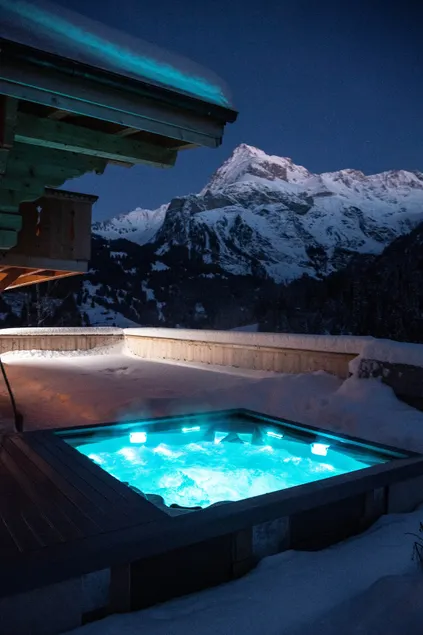 Chalet with cinema and jacuzzi in Gsteig near Gstaad - Image 1