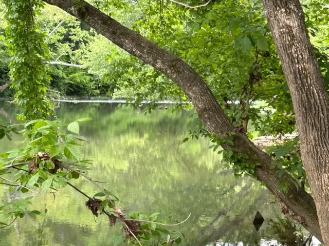 Hardy Spring River House - Image 1