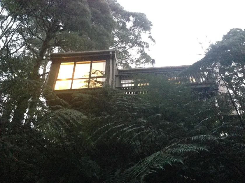 Sassafras Treehouse - Image 1
