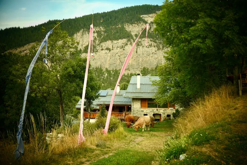 Nature and serenity - Image 1