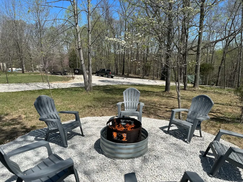 Deer View - Image 1