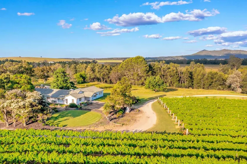 Broke in the Vines - farm stay! - Image 1